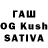 Галлюциногенные грибы GOLDEN TEACHER Ivan Ilmukov