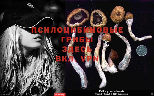 ешки Алексеевка