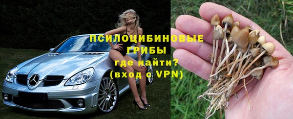 ешки Алексеевка