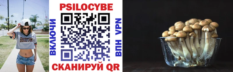 Галлюциногенные грибы Magic Shrooms  Амурск 